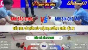 TRẬN 4 XÀ XÍA NGÀY 1/1/2026