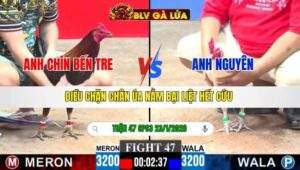 TRẬN 47 CPC3 NGÀY 23/1/2026