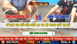 TRẬN 6 CPC5 NGÀY 22/1/2026