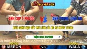 TRẬN 8 CPC4 NGÀY 3/1/2026