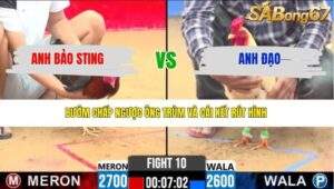 TRẬN 10 CPC2 NGÀY 31/3/2026