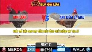 TRẬN 11 CPC2 NGÀY 20/3/2026