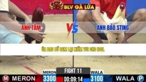 TRẬN 11 CPC2 NGÀY 25/3/2026