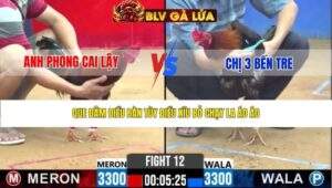 TRẬN 11 CPC2 NGÀY 31/3/2026