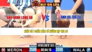 TRẬN 11 CPC3 NGÀY 22/3/2026