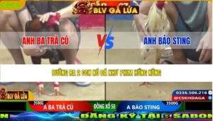 TRẬN 12 CPC2 NGÀY 24/3/2026