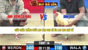 TRẬN 14 CPC2 NGÀY 20/3/2026