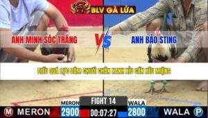 TRẬN 14 CPC2 NGÀY 25/3/2026