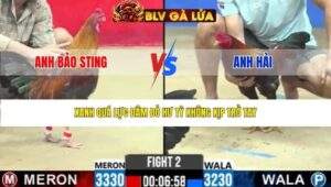 TRẬN 2 CPC2 NGÀY 20/3/2026