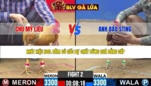 TRẬN 2 CPC2 NGÀY 27/3/2026