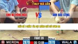 TRẬN 20 CPC2 NGÀY 24/3/2026