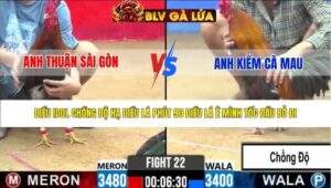 TRẬN 22 CPC2 NGÀY 30/3/2026