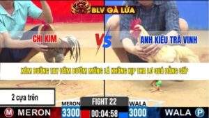 TRẬN 22 CPC2 NGÀY 31/3/2026