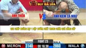 TRẬN 23 CPC2 NGÀY 28/3/2026