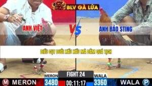 TRẬN 24 CPC2 NGÀY 27/3/2026