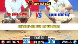 TRẬN 24 CPC2 NGÀY 29/3/2026