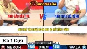 TRẬN 24 CPC3 NGÀY 15/3/2026