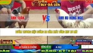 TRẬN 27 CPC2 NGÀY 26/3/2026