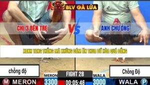 TRẬN 28 CPC2 NGÀY 16/3/2026