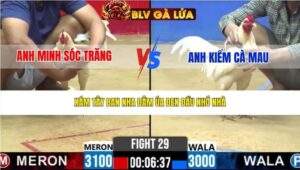 TRẬN 29 CPC2 NGÀY 27/3/2026