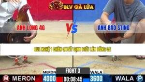 TRẬN 3 CPC2 NGÀY 25/3/2026