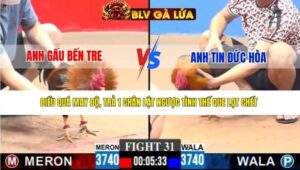 TRẬN 31 CPC3 NGÀY 28/3/2026