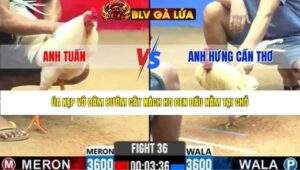 TRẬN 36 CPC2 NGÀY 17/3/2026