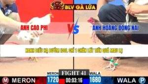 TRẬN 41 CPC3 NGÀY 21/3/2026