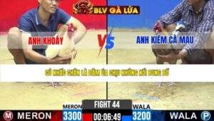 TRẬN 44 CPC2 NGÀY 22/3/2026