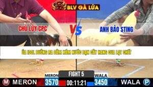 TRẬN 5 CPC2 NGÀY 27/3/2026