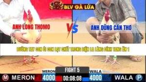 TRẬN 5 CPC2 NGÀY 29/3/2026