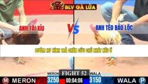 TRẬN 52 CPC3 NGÀY 22/3/2026