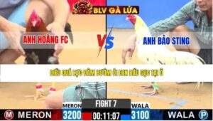 TRẬN 7 CPC2 NGÀY 31/3/2026