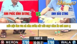 TRẬN 9 CPC2 NGÀY 17/3/2026