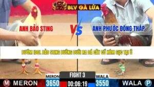 TRẬN 3 CPC2 NGÀY 8/4/2026