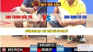 TRẬN 1 CPC3 NGÀY 14/4/2026