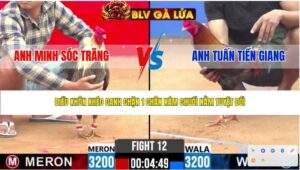 TRẬN 12 CPC2 NGÀY 15/4/2026