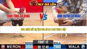 TRẬN 12 CPC2 NGÀY 17/4/2026