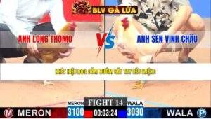 TRẬN 14 CPC3 NGÀY 19/4/2026