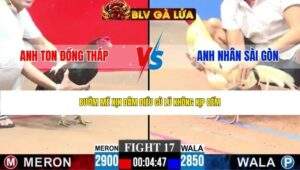 TRẬN 17 CPC3 NGÀY 20/4/2026