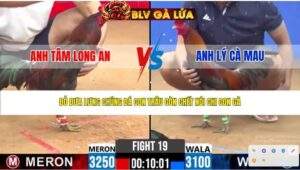 TRẬN 19 CPC2 NGÀY 13/4/2026