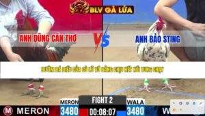 TRẬN 2 CPC2 NGÀY 10/4/2026