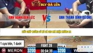 TRẬN 28 CPC2 NGÀY 13/4/2026