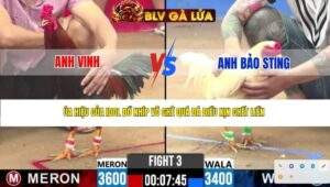 TRẬN 3 CPC2 NGÀY 10/4/2026