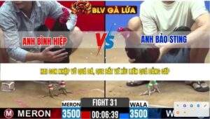 TRẬN 31 CPC2 NGÀY 15/4/2026