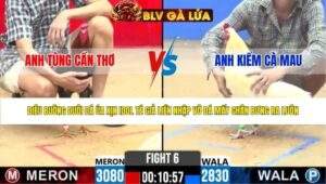 TRẬN 6 CPC2 NGÀY 21/4/2026