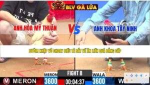 TRẬN 8 CPC2 NGÀY 12/4/2026