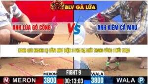 TRẬN 9 CPC2 NGÀY 17/4/2026